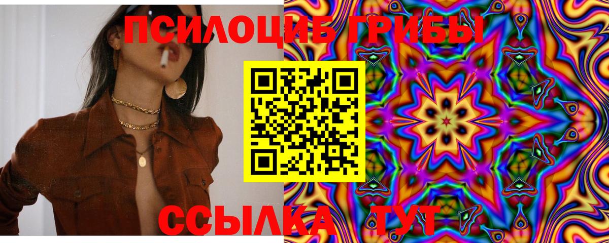 Галлюциногенные грибы Magic Shrooms  Вход с VPN  Киселёвск  Галлюциногенные грибы Psilocybine cubensis 